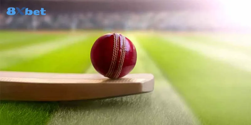 Tổng quan và những điều cần biết về cá cược Cricket